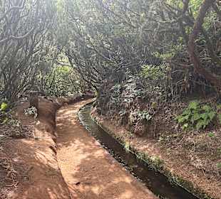 Naturpark Queimadas & Levada do Caldeirão Verde