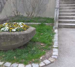 Sieben-Kelter-Schule