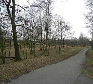 Naturschutzgebiet Boberger Niederung