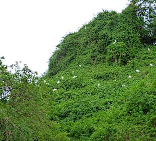 Ausflug Los Haitises