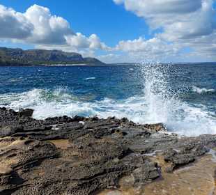 Wandern Can Picafort