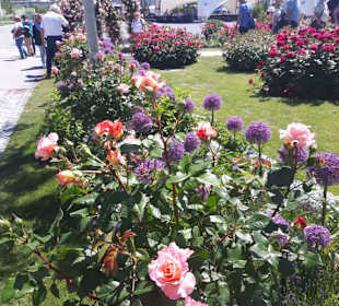Buga Bundesgartenschau 2019