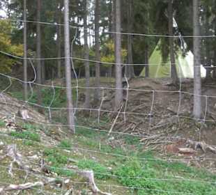 Erlebnisbauernhof und Wildgehege