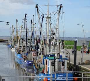 Impressionen aus dem Kutterhafen Wremen