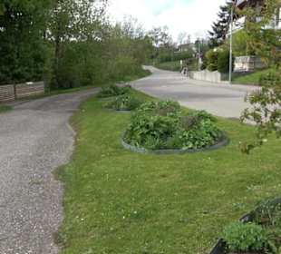 Friedhof Beuren