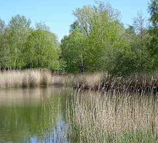 Spaziergang durch den Walter-Peters-Park