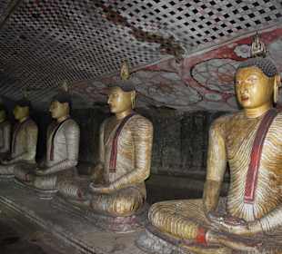 Höhlenfelsen Dambulla