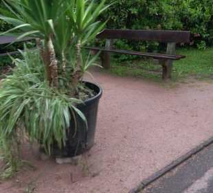 Kurgarten Alpirsbach