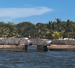 Vom Boot aus Isla Saona 