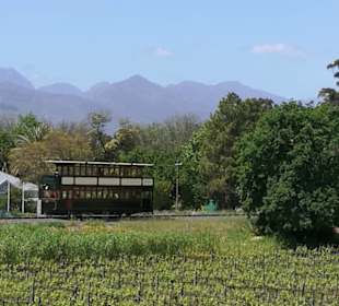 Bus auf dem Weg zum Weingut