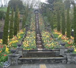 Wasserfall aus Blumen