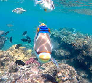 Am Strand beim Alf Leila wa Leila und Jungle Aqua Park 