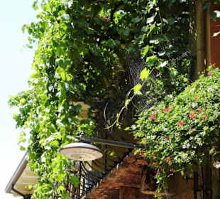 Rundgang durch die Altstadt von Malcesine
