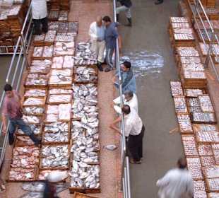 Fischauktion im Hafen