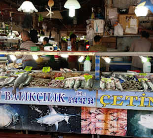 Fischhändler/Fischmarkt Fethiye