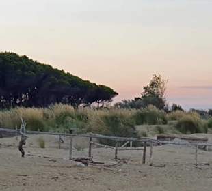 Bereich um den Leuchtturm