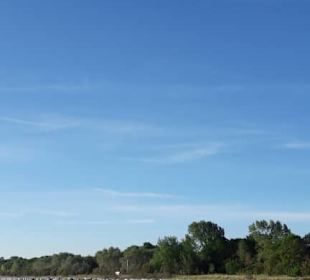 Boltenhagen an der Ostsee