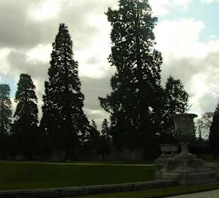 Powerscourt Garden