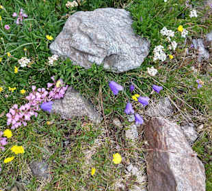 Wandern Velturno / Feldthurns