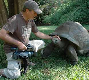 Seychellenschildkröte im Haller Park