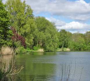 Eindrücke vom Rundgang im Seenpark