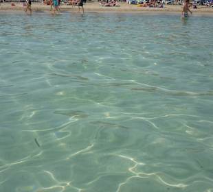 Klares Wasser am ca. 500m entfernten Strand 