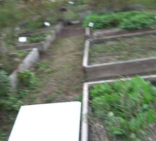 Geistliches Zentrum Kloster Heiligkreuztal Altheim