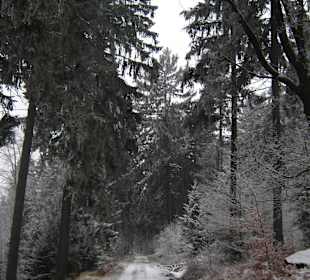 W drodzę na Ślężę