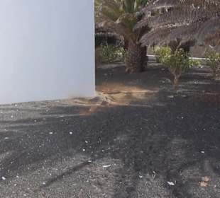 Parroquia San Francisco Javier 