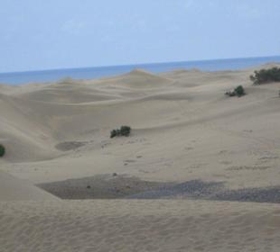 La Dunas Maspalomas
