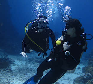 Tauchen Marsa Alam