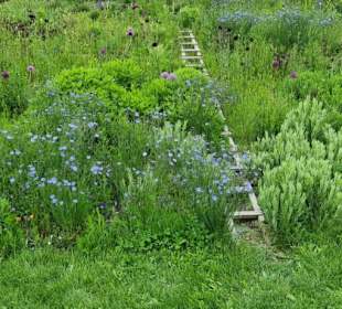 Weitläufige Landschaft