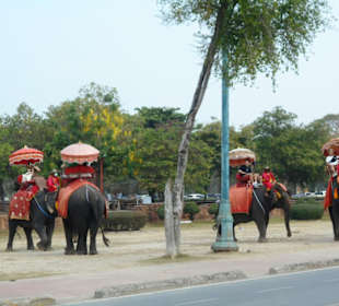 Ayutthaya Elefantenpalast