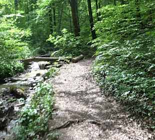 Breitenbachquelle