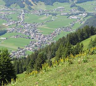 Wandern Bezau