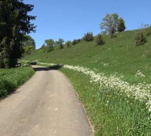 Magolsheimer Buchtalweg