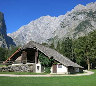 Auf der Halbinsel St. Bartholomä