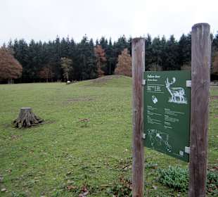 Wildtier Park Edersee