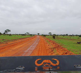 Typischer roter Sand in "Tsavo"