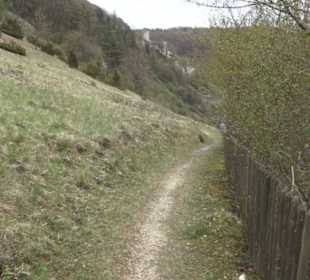 Burgruine Hohenhundersingen