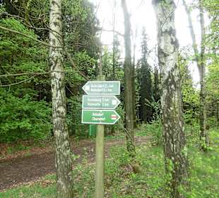 Ausgeschilderte Wanderwege
