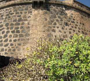 Castillo de San José - trutzige Mauern