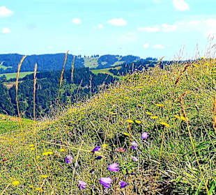 Buchenegger Wasserfälle