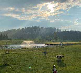 Wandern Hinterzarten