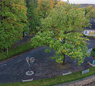 Stadtrundgang Quedlinburg