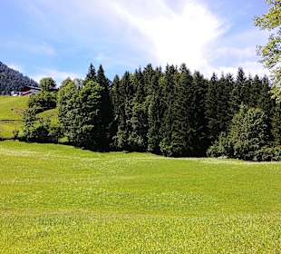 Wandern St. Ulrich am Pillersee