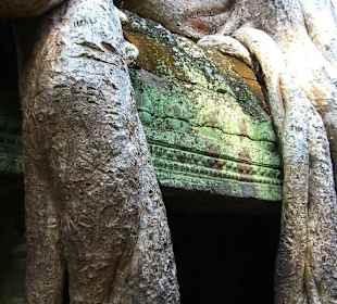 Tempio nella giungla