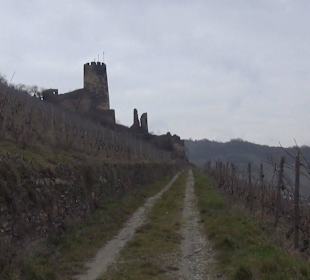 Burg Fürstenberg