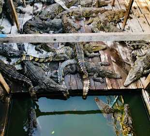Tonle Sap, Kambodscha