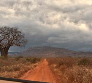 Landscape Tsavo East